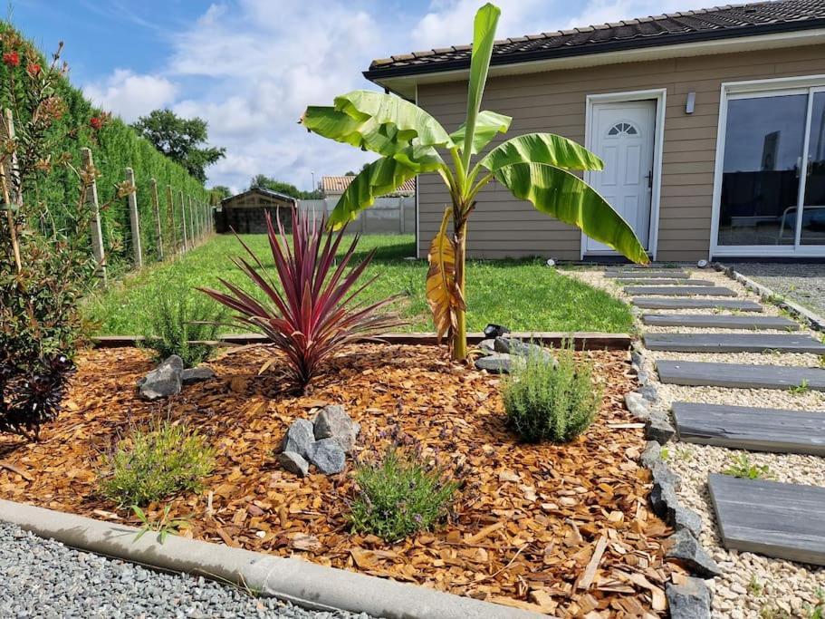 La Villa Des Pins Maison Standing 7 Pers Terre Et Mer Brach Exteriör bild